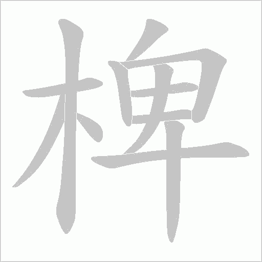 椑字笔顺动画