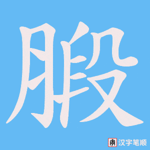 腶字笔顺动画