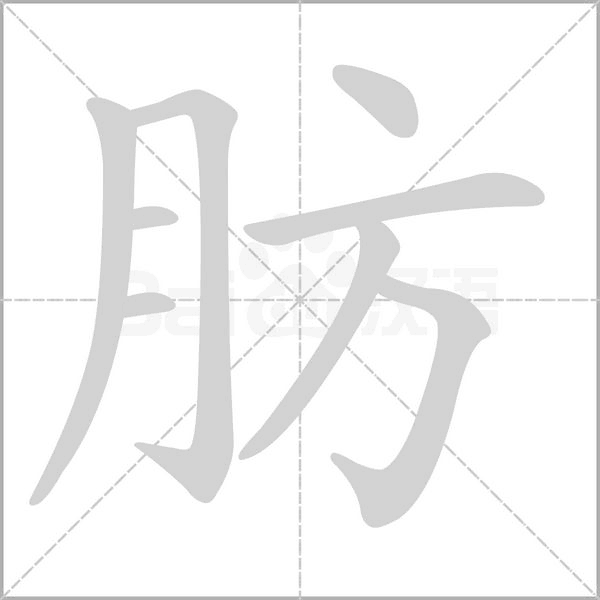 肪字笔顺动画