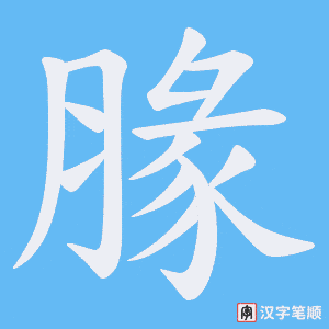 腞字笔顺动画