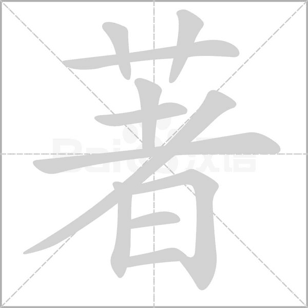 著字笔顺动画