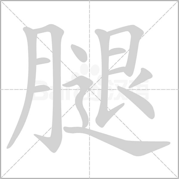 腿字笔顺动画