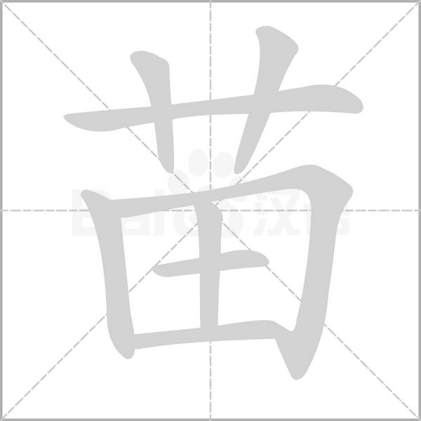苗字笔顺动画