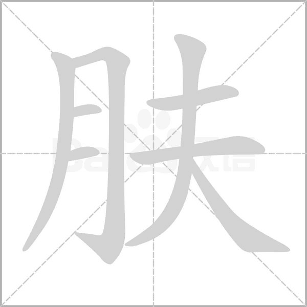 肤字笔顺动画