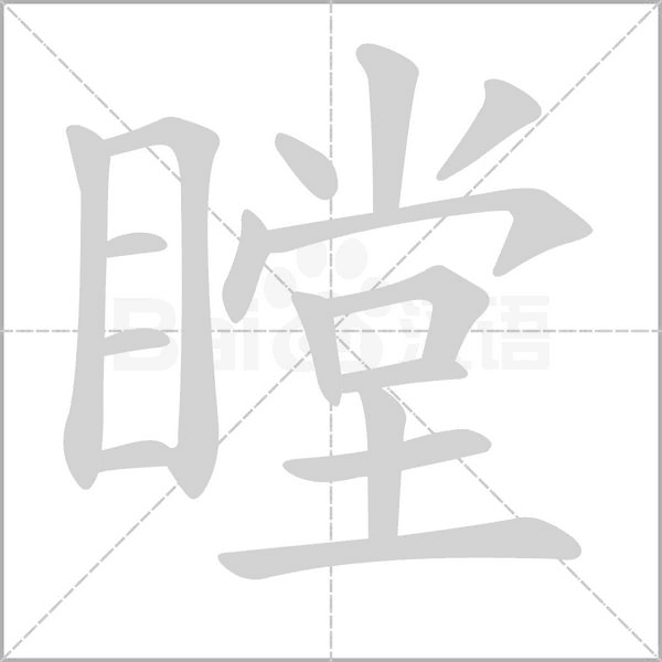 瞠字笔顺动画
