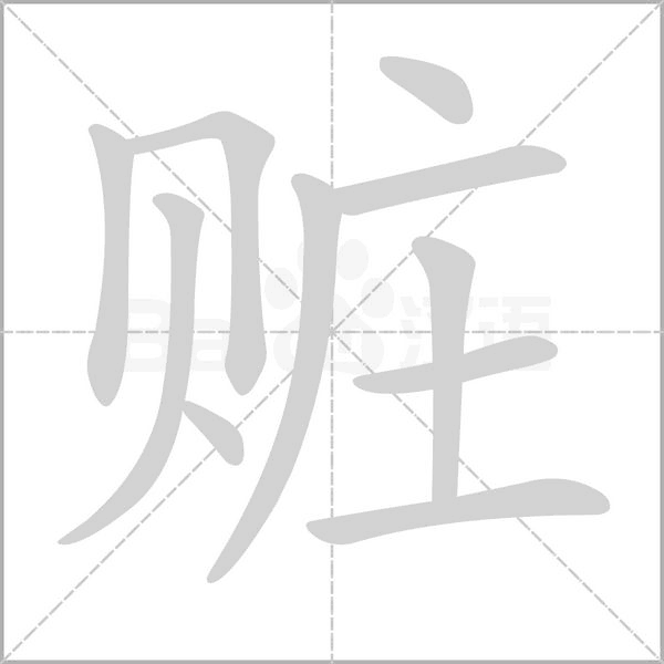 赃字笔顺动画