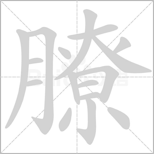 膫字笔顺动画