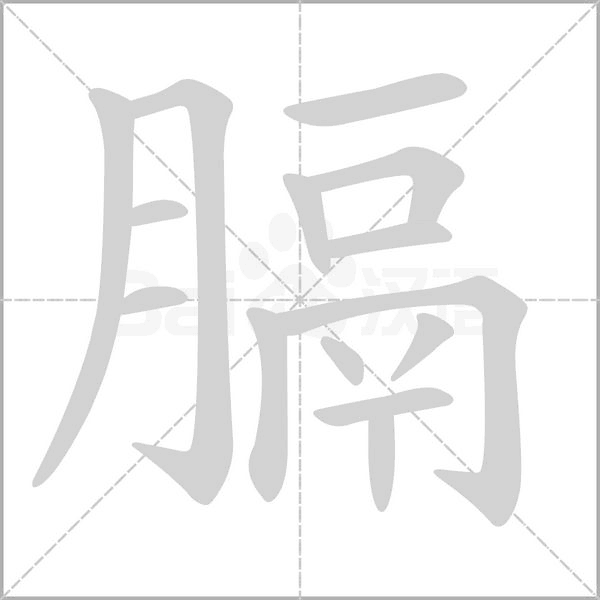 膈字笔顺动画