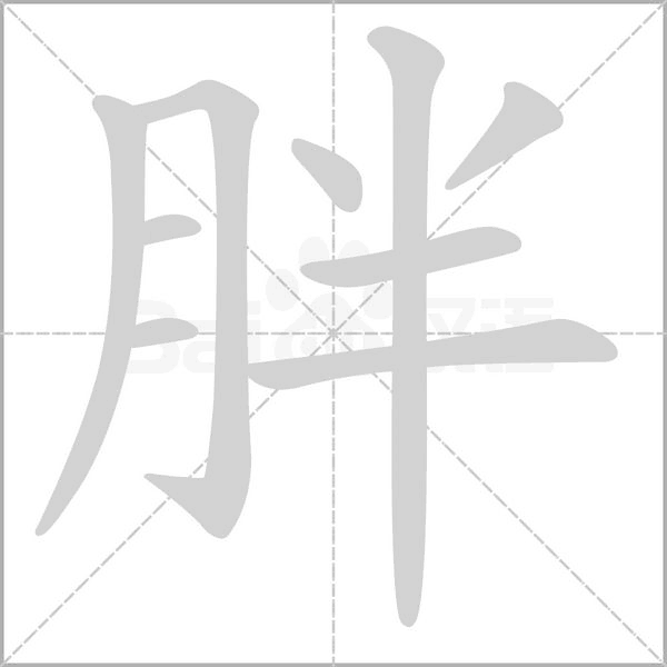 胖字笔顺动画