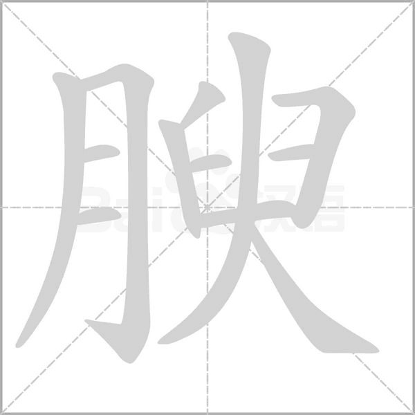 腴字笔顺动画