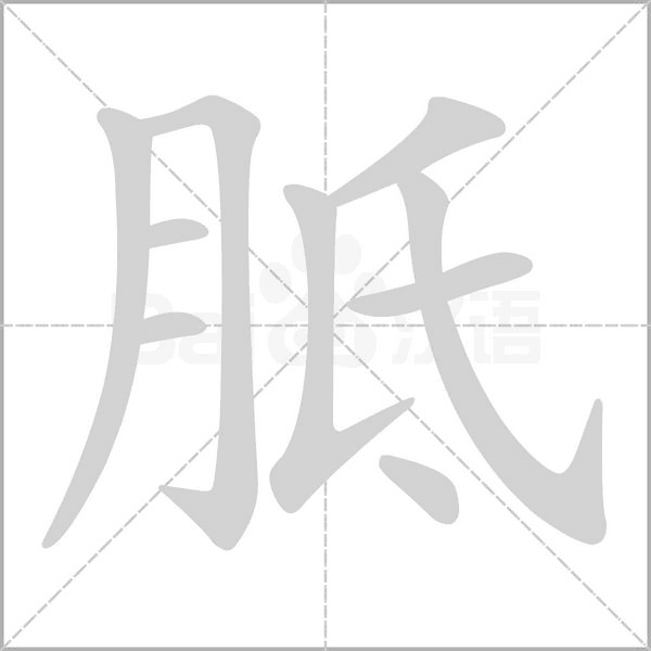 胝字笔顺动画