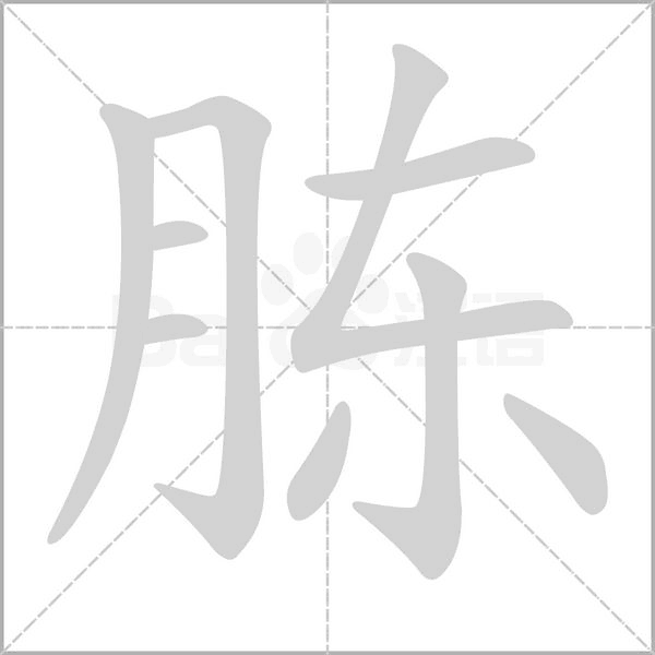 胨字笔顺动画