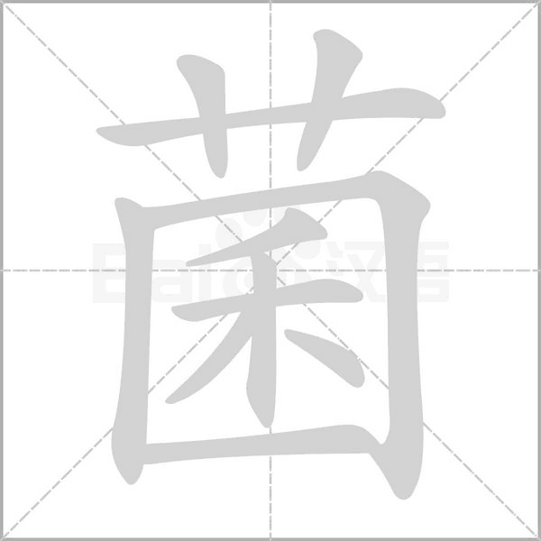 菌字笔顺动画