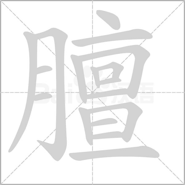 膻字笔顺动画
