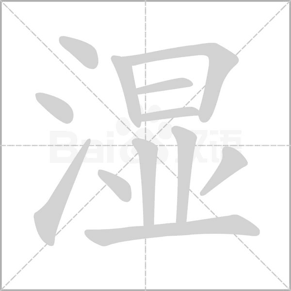 湿字笔顺动画