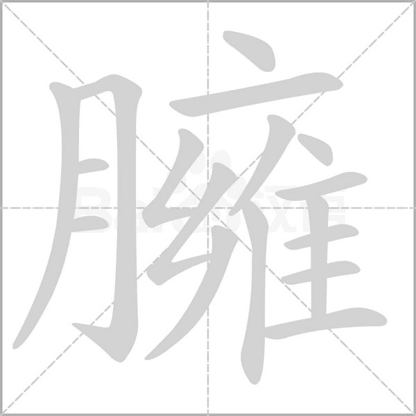 臃字笔顺动画
