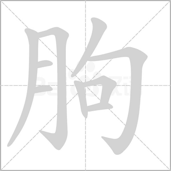 朐字笔顺动画