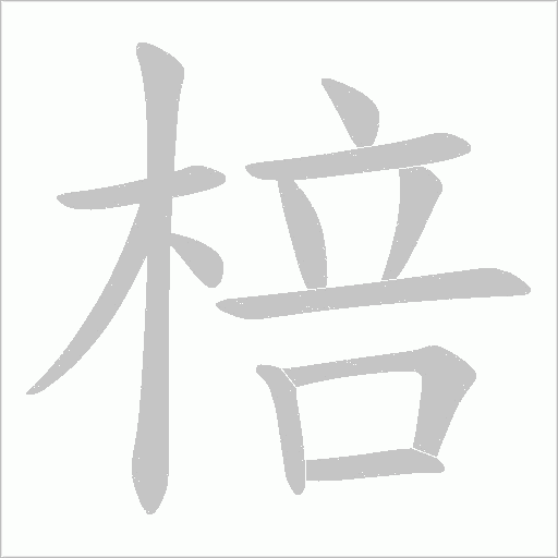 棓字笔顺动画