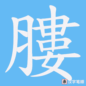 膢字笔顺动画