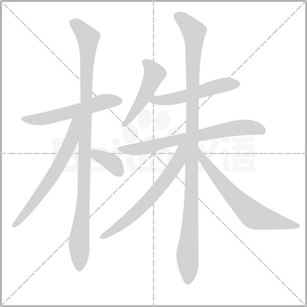 株字笔顺动画