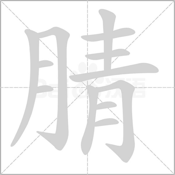 腈字笔顺动画