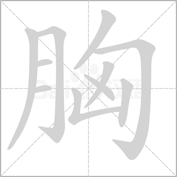 胸字笔顺动画