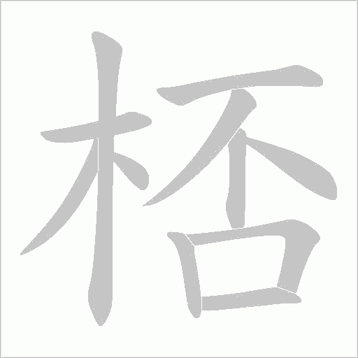 桮字笔顺动画