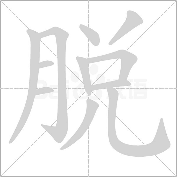 脱字笔顺动画