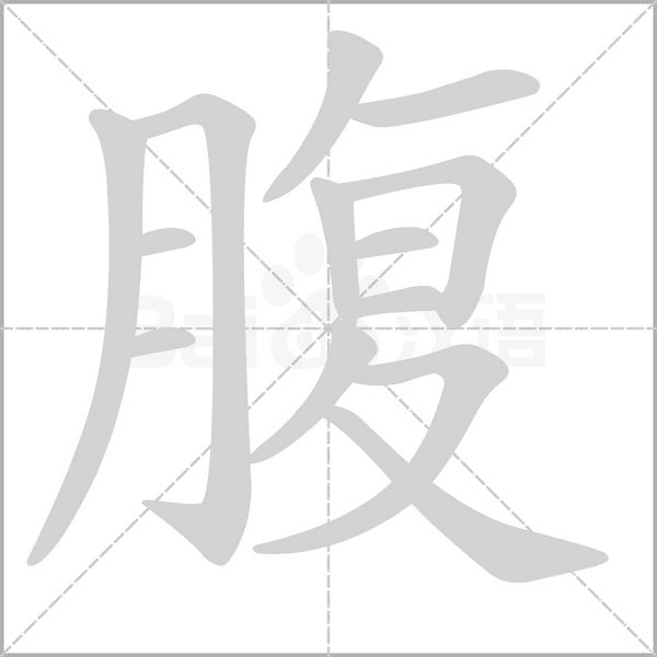 腹字笔顺动画