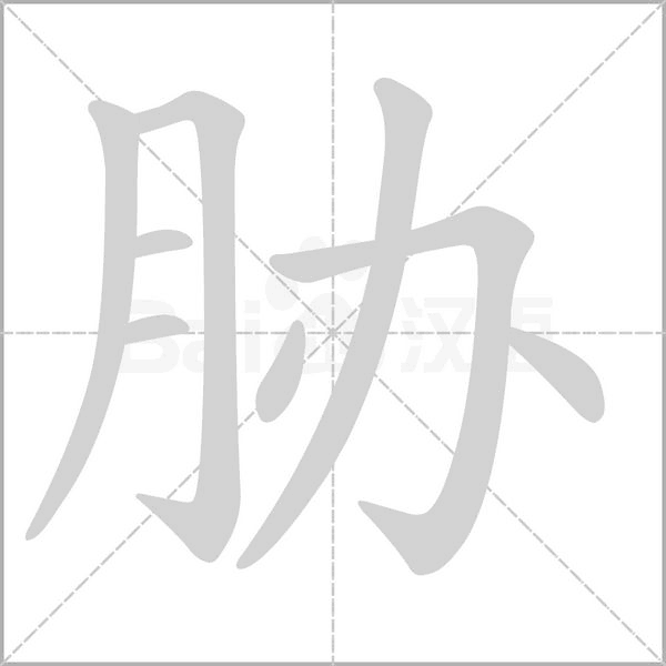 胁字笔顺动画