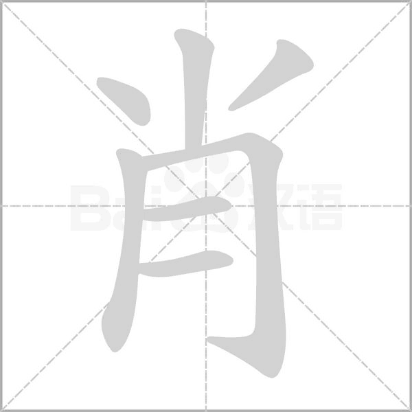 肖字笔顺动画