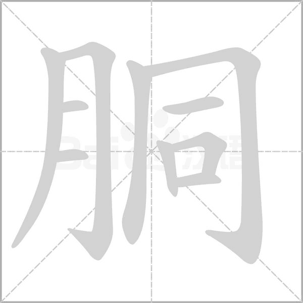胴字笔顺动画