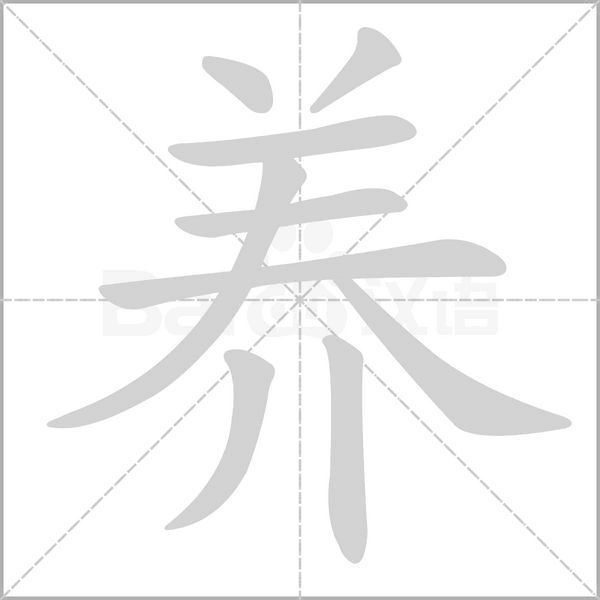 养字笔顺动画