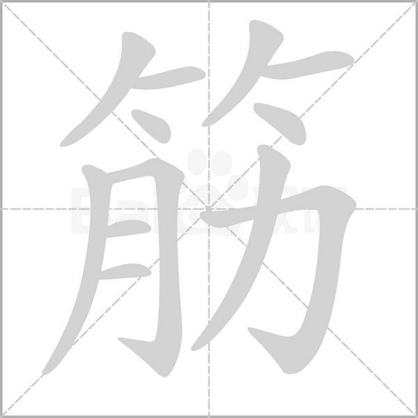 筋字笔顺动画