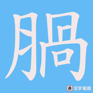 腡字笔顺动画