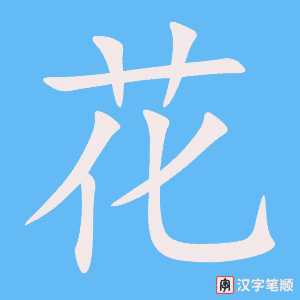 花字笔顺动画