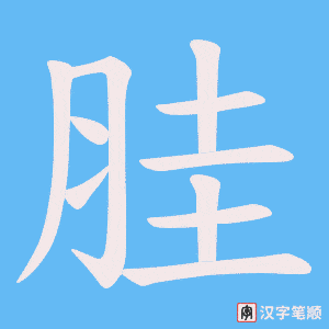 胿字笔顺动画
