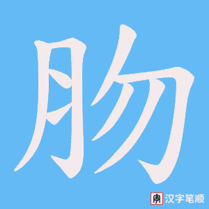 肳字笔顺动画