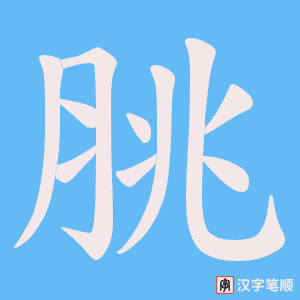 脁字笔顺动画