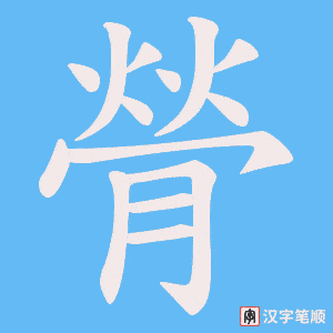 膋字笔顺动画