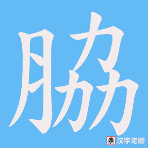 脇字笔顺动画