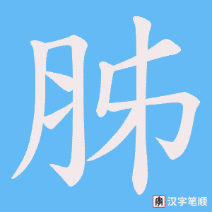 胏字笔顺动画
