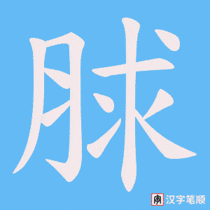 脙字笔顺动画