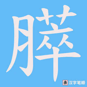 膵字笔顺动画