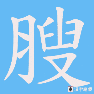 膄字笔顺动画