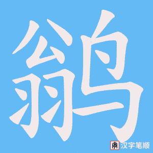 鹟字笔顺动画