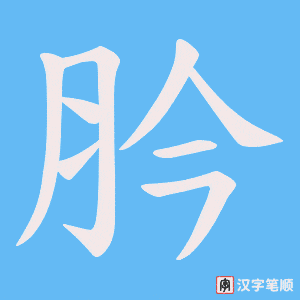 肣字笔顺动画