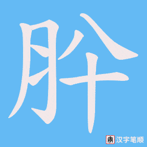 肸字笔顺动画