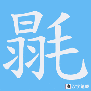 毾字笔顺动画
