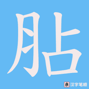胋字笔顺动画